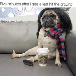 Image post by @slow_mama5 on Instagram