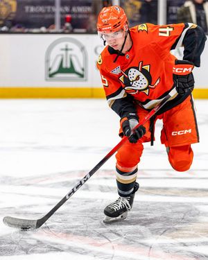 Image post by @AnaheimDucks on Twitter