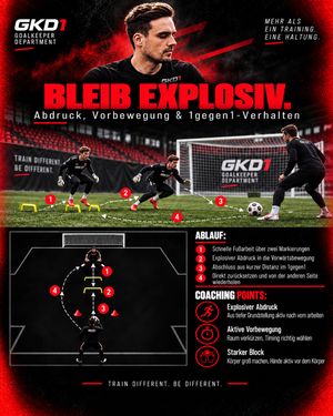 Image post by @goalkeeperdepartment1_gkd on Instagram