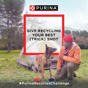 Image post by @purina on Instagram