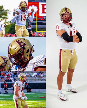 Image post by @elonfb on Instagram