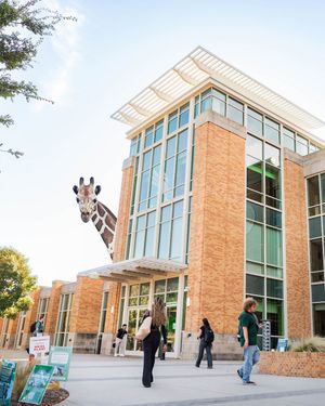 Image post by @unt on Instagram