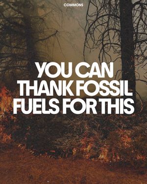 Image post by @commonsearth on Instagram