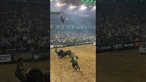 Video post by @pbr on YouTube