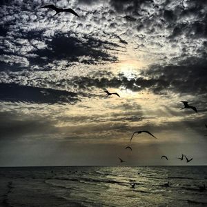 Image post by @alfonsso on Instagram