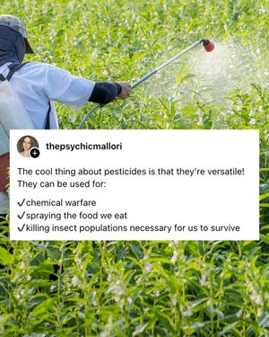 Image post by @greenpeace on Instagram