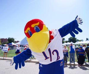 Image post by @kumascots on Instagram