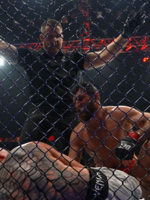 Video post by @ufc on TikTok