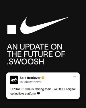 Image post by @soleretriever on Instagram