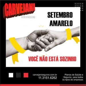 Image post by @carvejaniseguros on Instagram