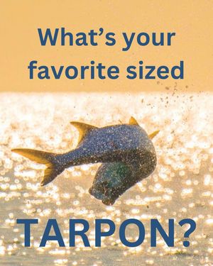 Image post by @saltwater_experience on Instagram