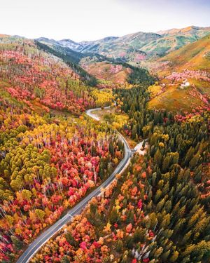 Image post by @dronepals on Instagram