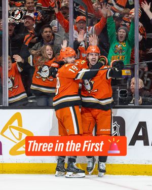Image post by @anaheimducks on Instagram