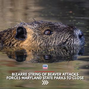 Image post by @foxweather on Instagram