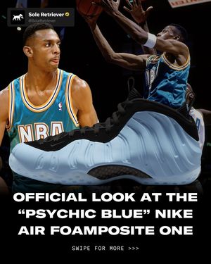 Image post by @soleretriever on Instagram