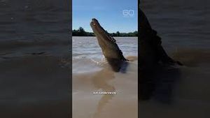 Video post by @60minutes on YouTube