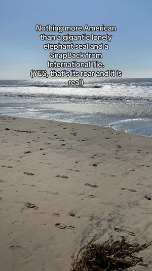 Video post by @internationaltie on Facebook