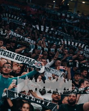 Image post by @partizanbc on Instagram