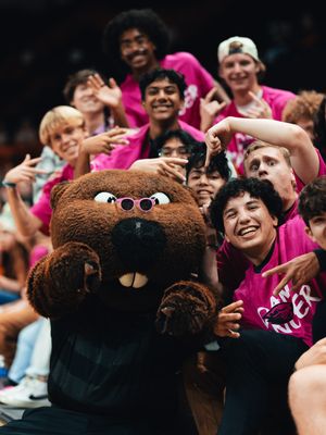 Image post by @beavervball on Instagram