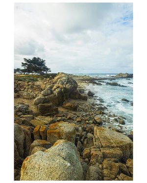 Image post by @amandajcain on Instagram