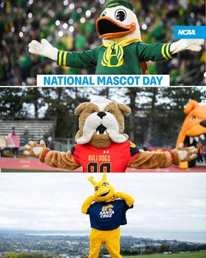 Image post by @ncaa on Instagram