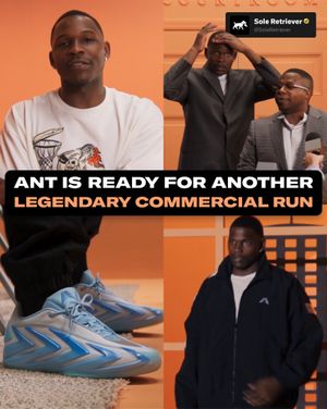 Image post by @soleretriever on Instagram