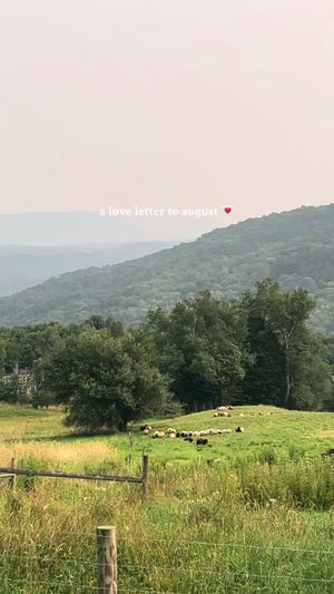 Video post by @filmbychloeg on TikTok