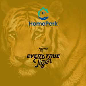 Image post by @everytruetiger on Instagram