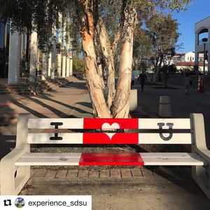 Image post by @sdsufowler on Instagram