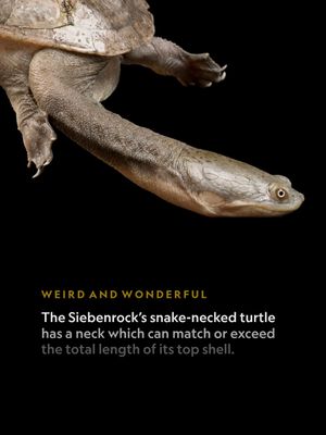 Image post by @natgeosociety on Instagram