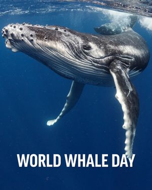 Image post by @oceana on Instagram