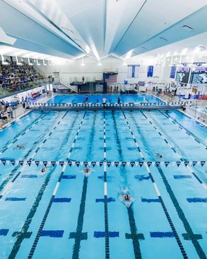 Image post by @BYUswimanddiveteam on Facebook
