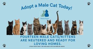 Image post by @whitmanpets on Instagram