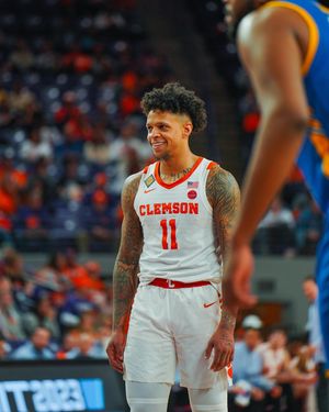 Image post by @cutigervision on Instagram