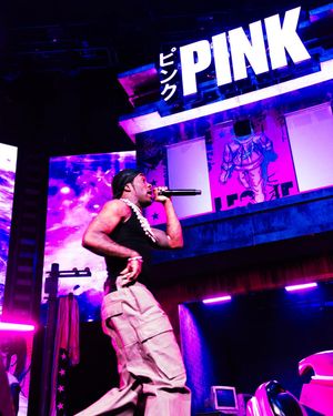 Image post by @liluzivurt on Instagram