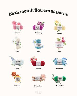 Image post by @premieryarns on Instagram