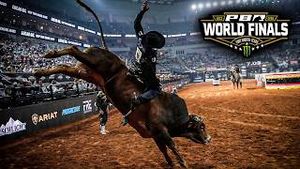 Video post by @pbr on YouTube