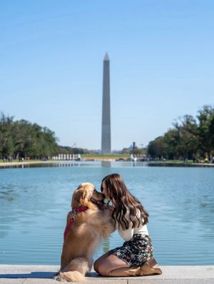 Image post by @pearl.the.golden.girl on Instagram