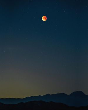 Image post by @codyburkhardt on Instagram