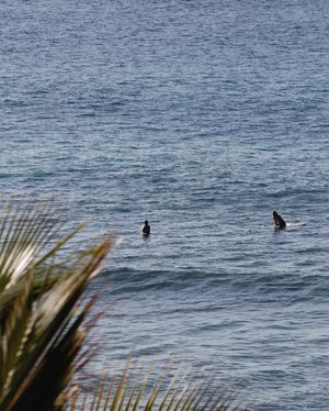 Image post by @mppvacations on Instagram