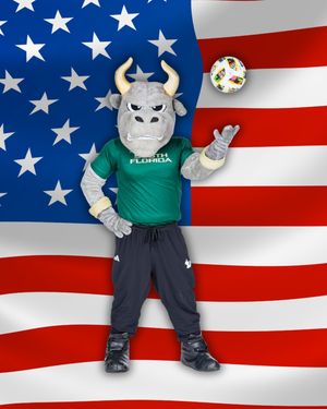 Image post by @usouthflorida on Instagram
