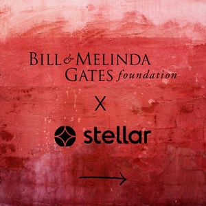 Image post by @stellaragency on Instagram
