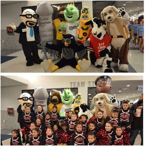 Image post by @riceathletics on Instagram