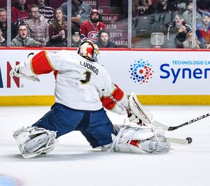 Image post by @flapanthers on Instagram