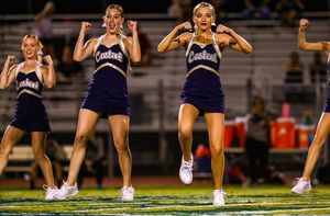 Image post by @brynnthepommie on Instagram