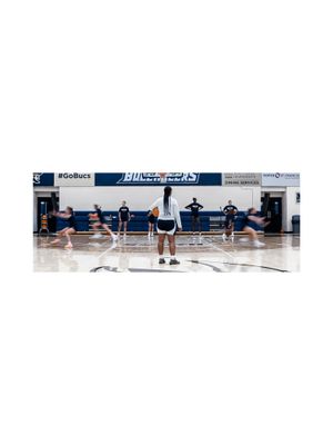 Image post by @csubucswbb on Instagram