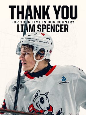 Image post by @ohlicedogs on Instagram