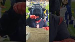 Video post by @texanstoro1 on YouTube