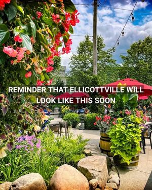 Image post by @visitellicottville on Instagram