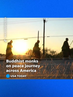 Video post by @usatoday on TikTok